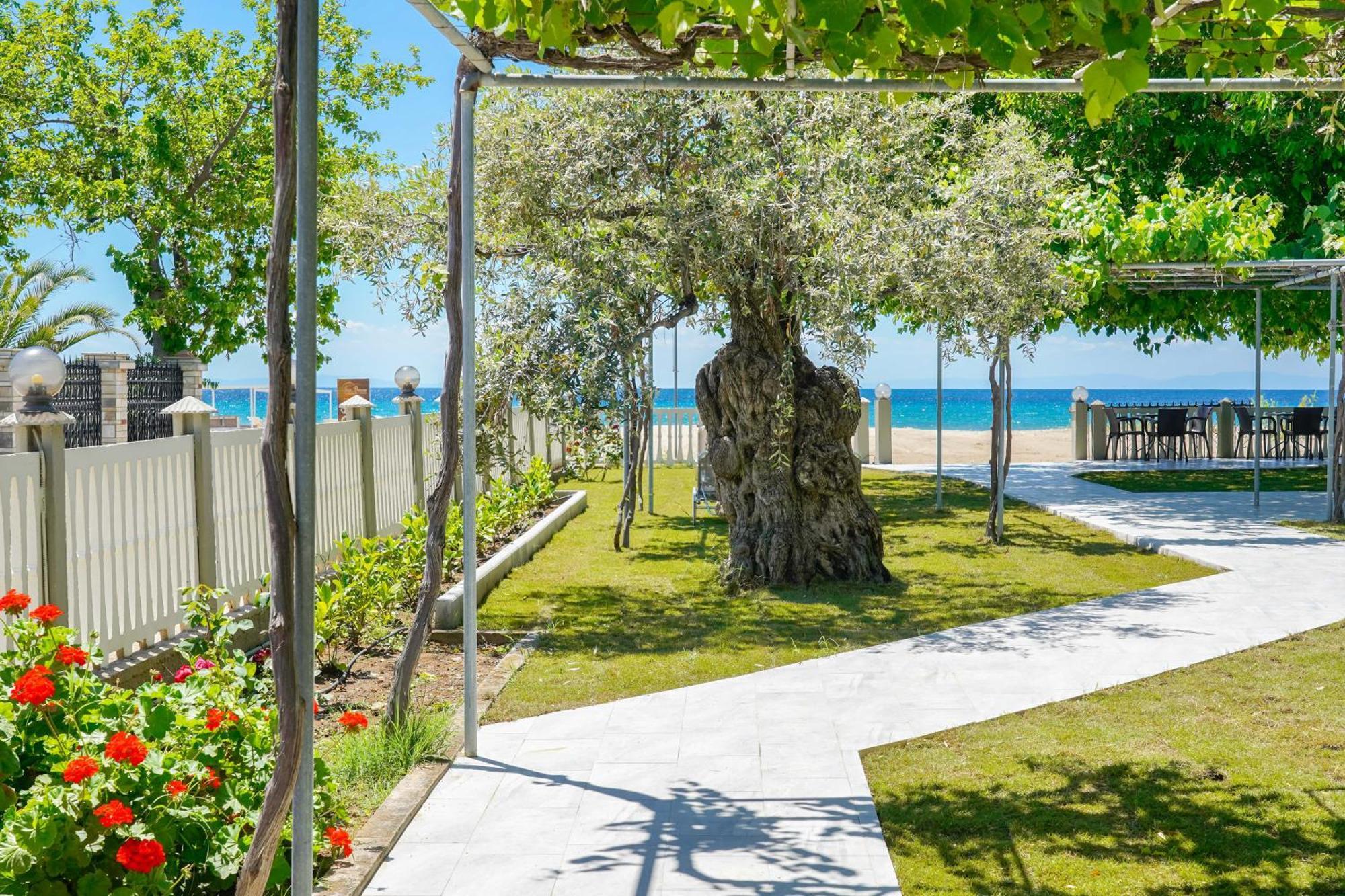 Olivento Beach Front Suites Potos Bagian luar foto